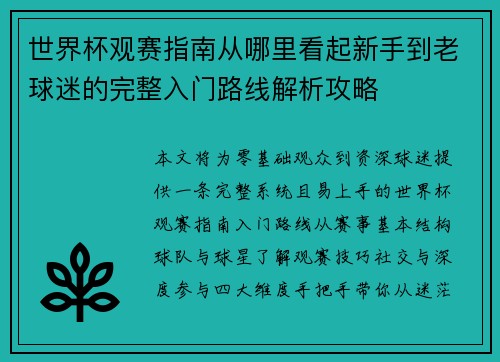 世界杯观赛指南从哪里看起新手到老球迷的完整入门路线解析攻略